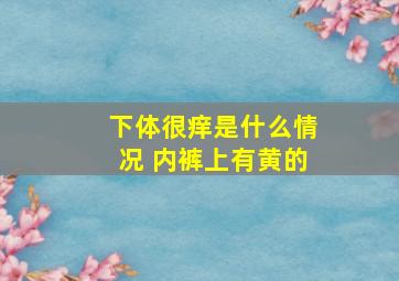 下体很痒是什么情况 内裤上有黄的